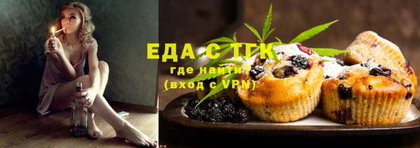 хмурый Аркадак