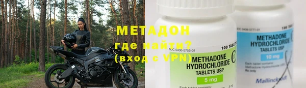 хмурый Аркадак