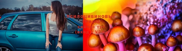 прущий лед Армянск