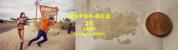 хмурый Аркадак