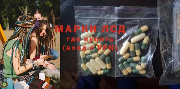 хмурый Аркадак