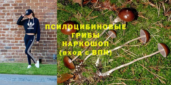мяу мяу кристалл Алексин