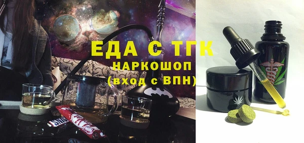 хмурый Аркадак
