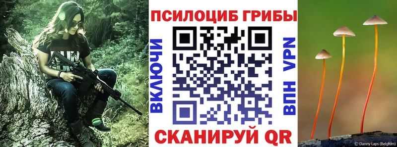 цена   Кольчугино  Галлюциногенные грибы Psilocybe 