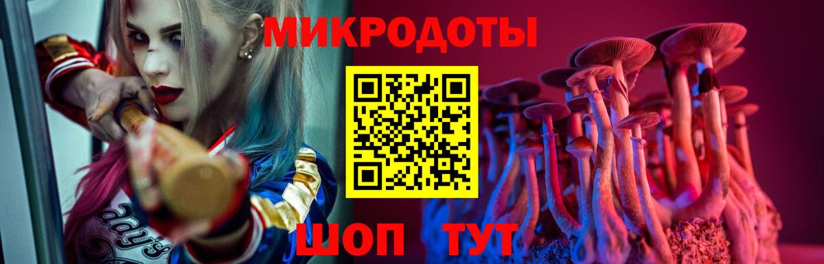Кольчугино  Псилоцибиновые грибы мицелий  Вход с VPN 